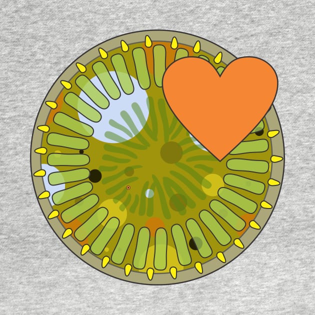 Diatom - Cyclotella (green) by DiatomsATTACK